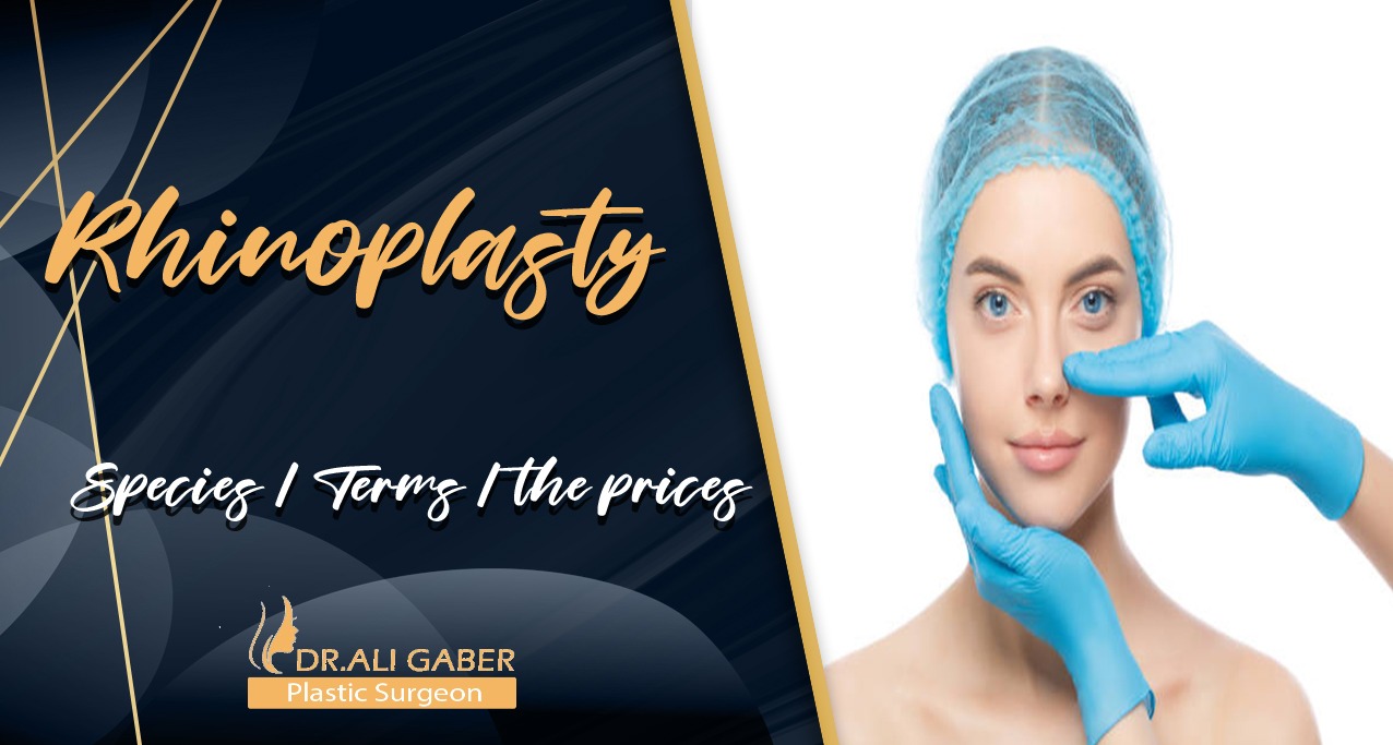You are currently viewing Rhinoplasty | Species | Terms | the prices.